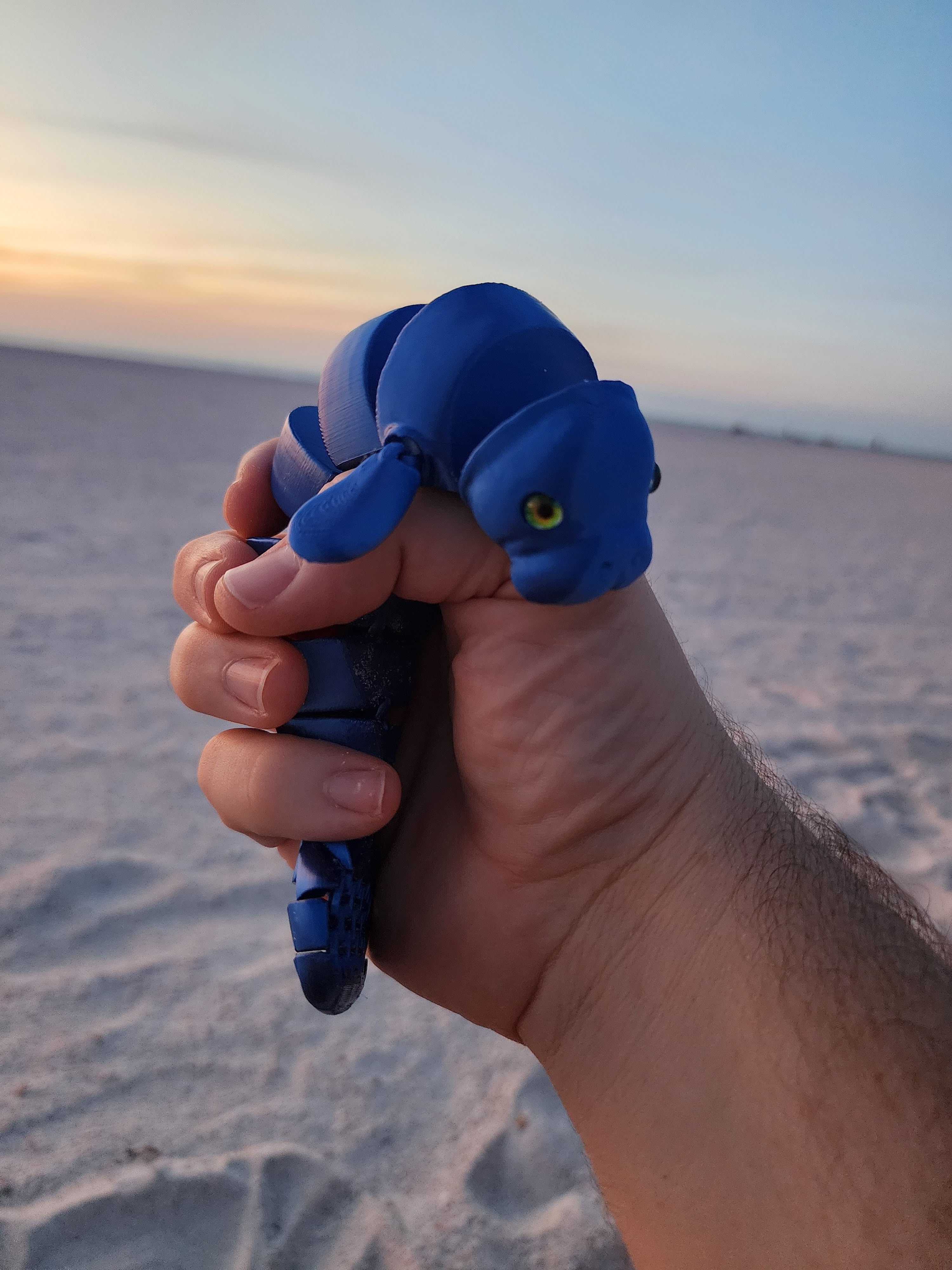 PetLinks Pal — Manatee