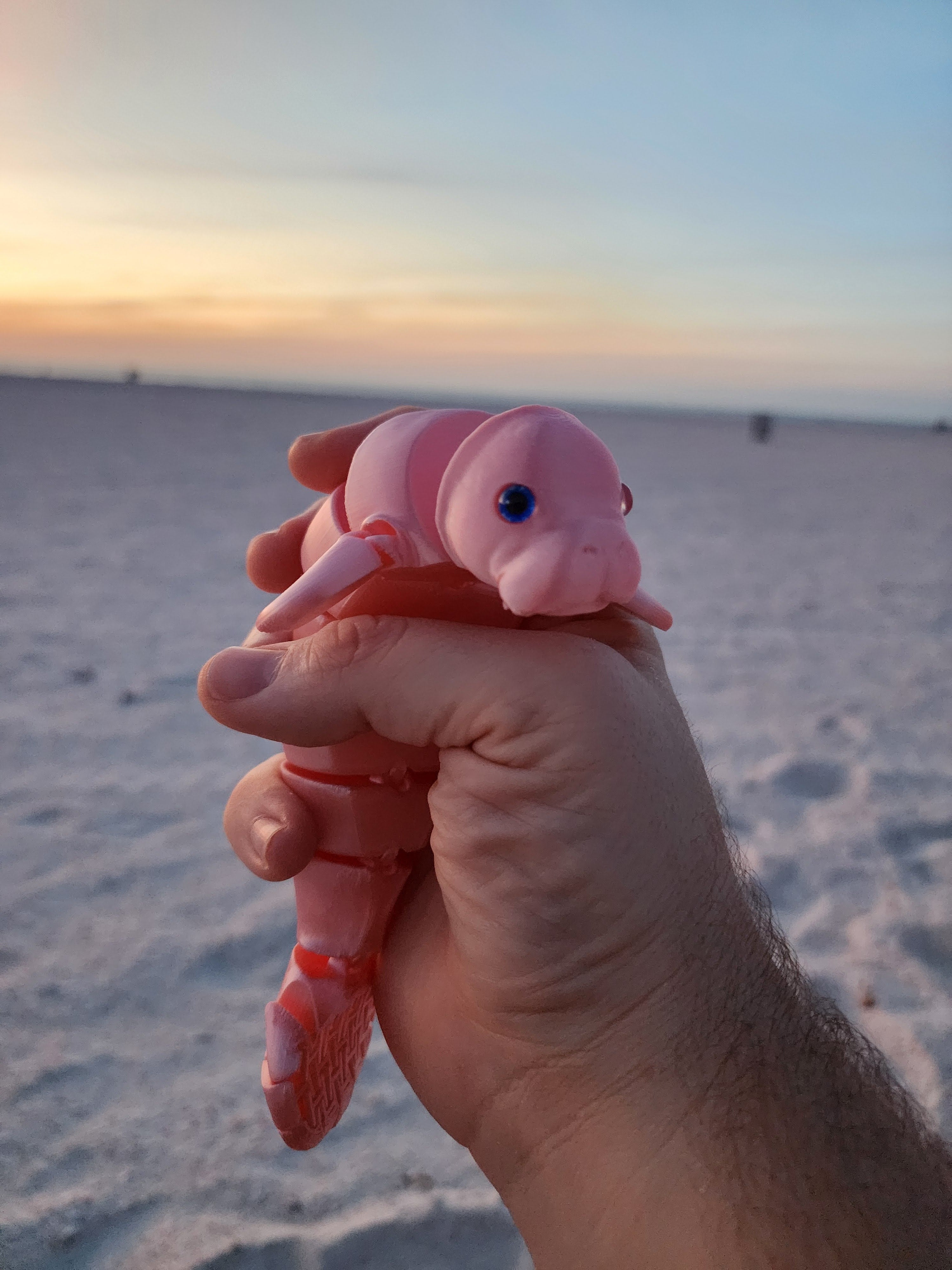 PetLinks Pal — Manatee