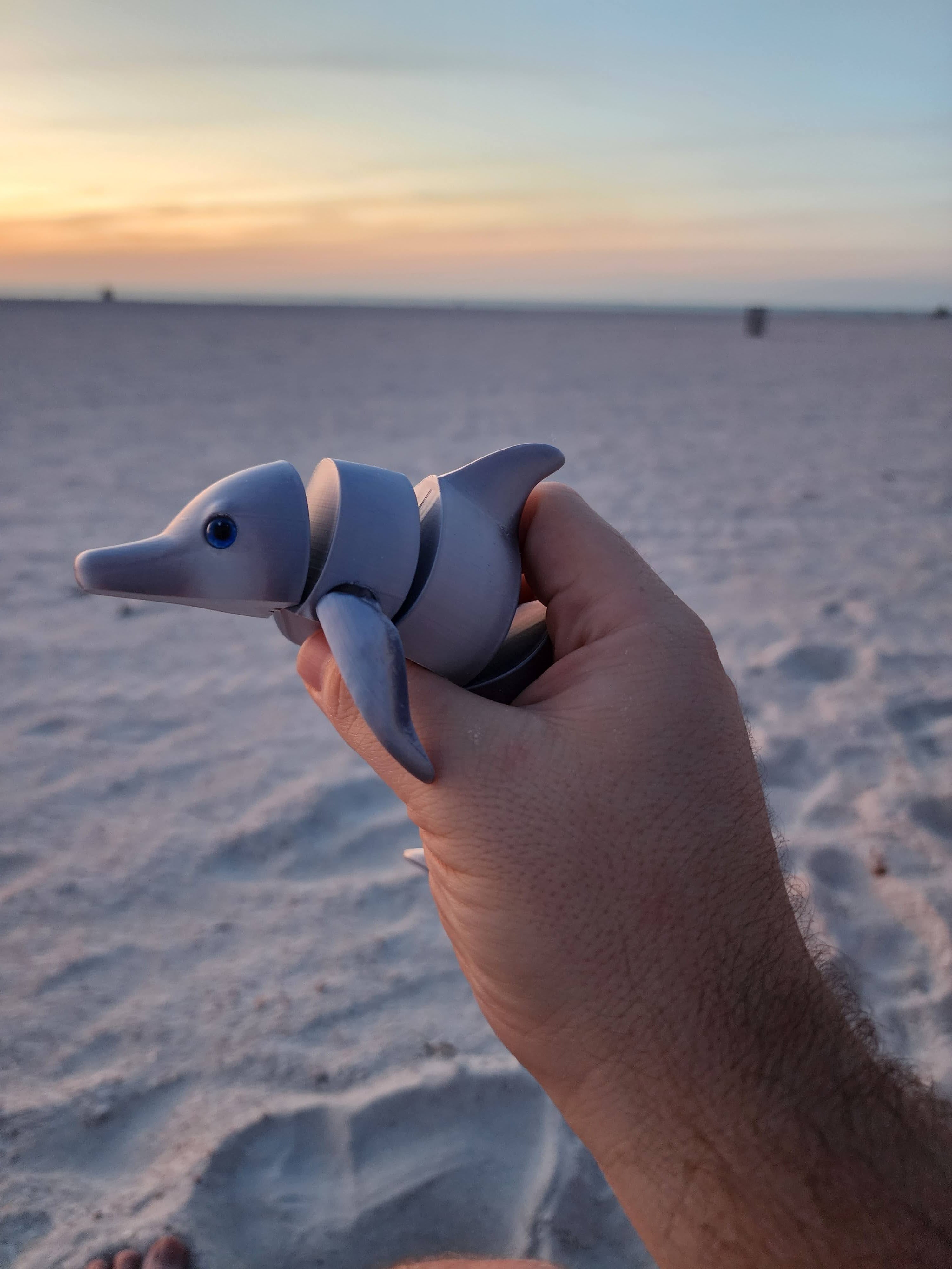 PetLinks Pal — Dolphin