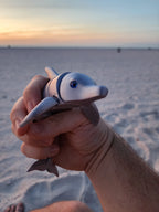 PetLinks Pal — Dolphin
