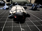 PetLinks Baby — Turtle