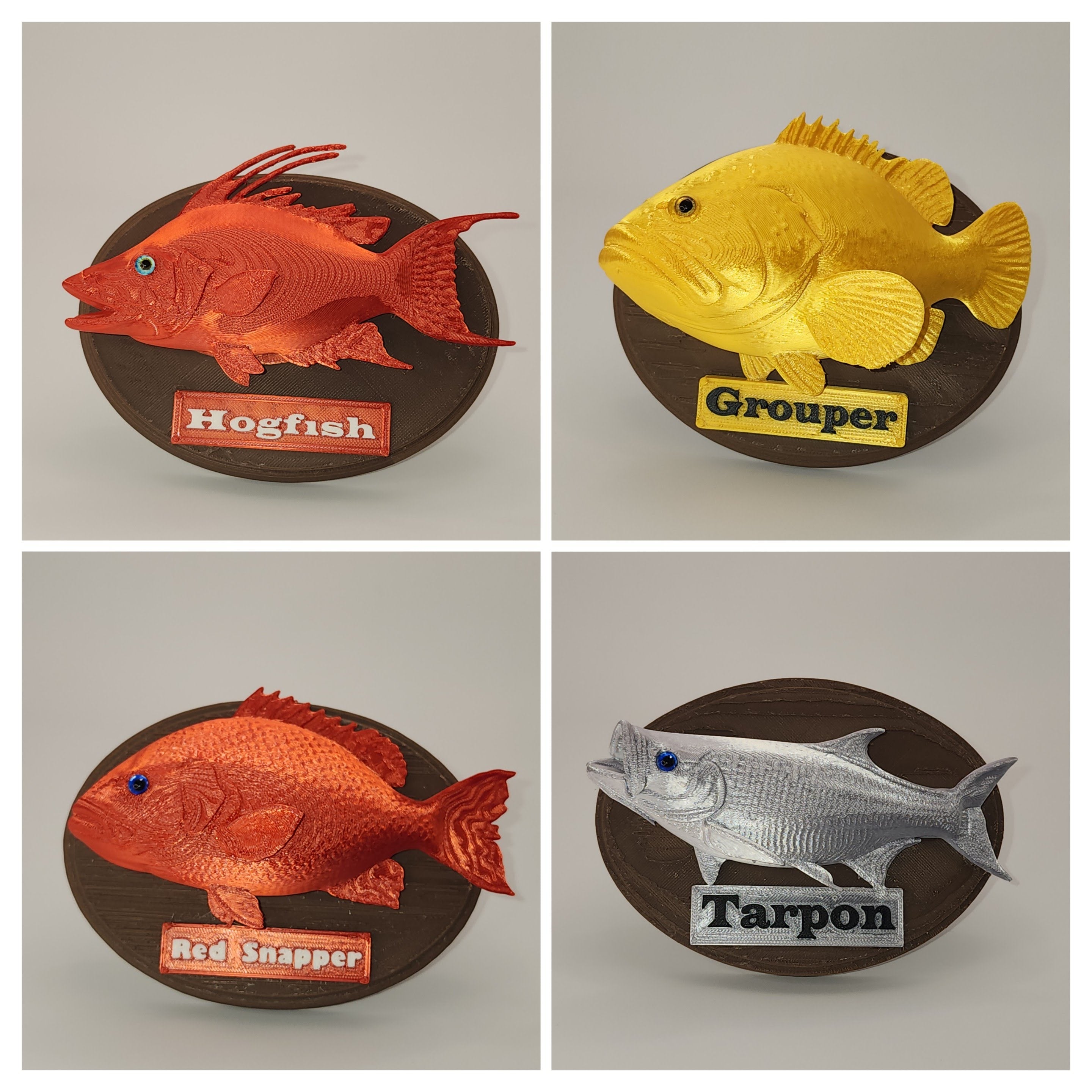 Fish Trophy