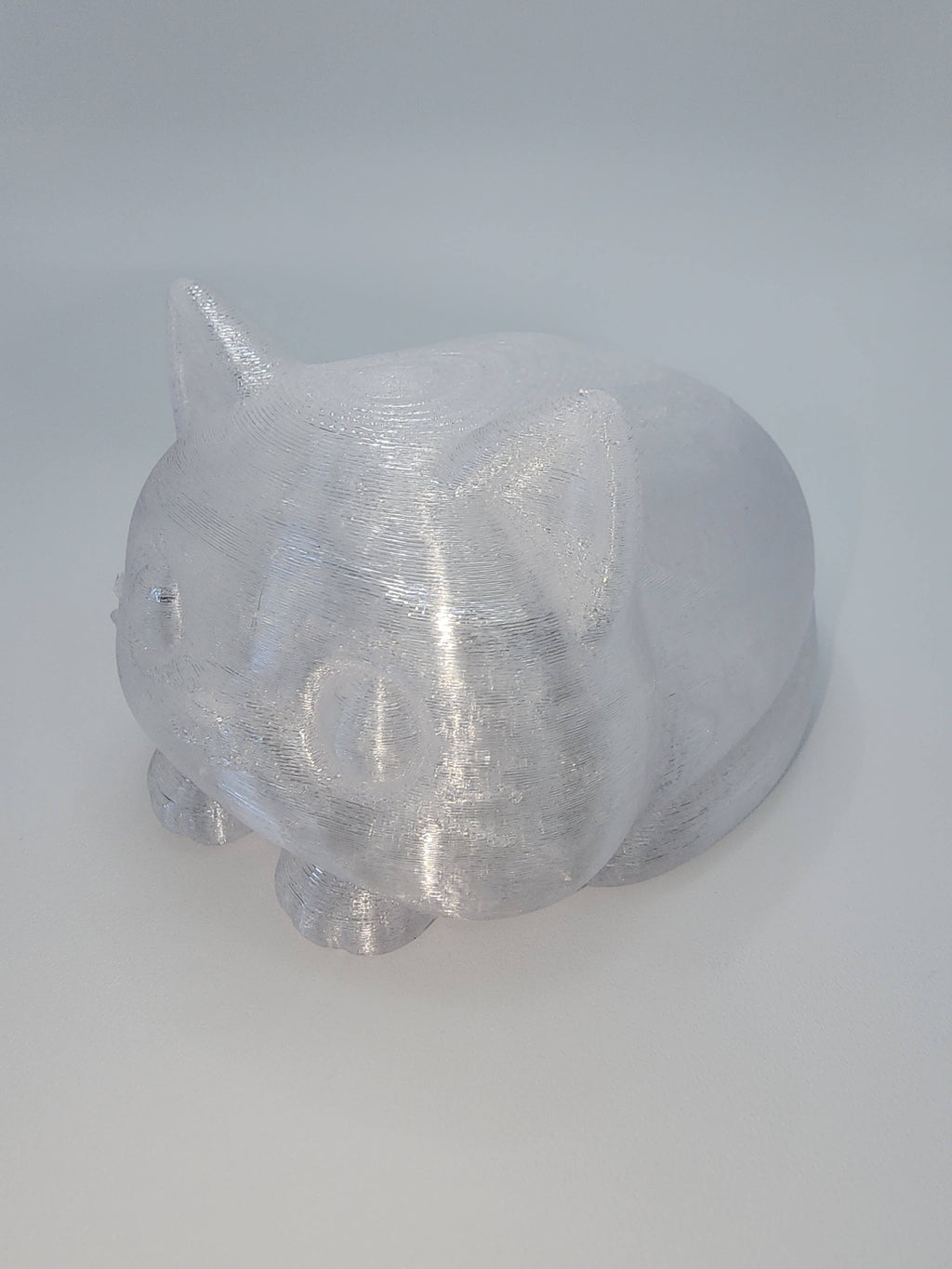 Pet Lights