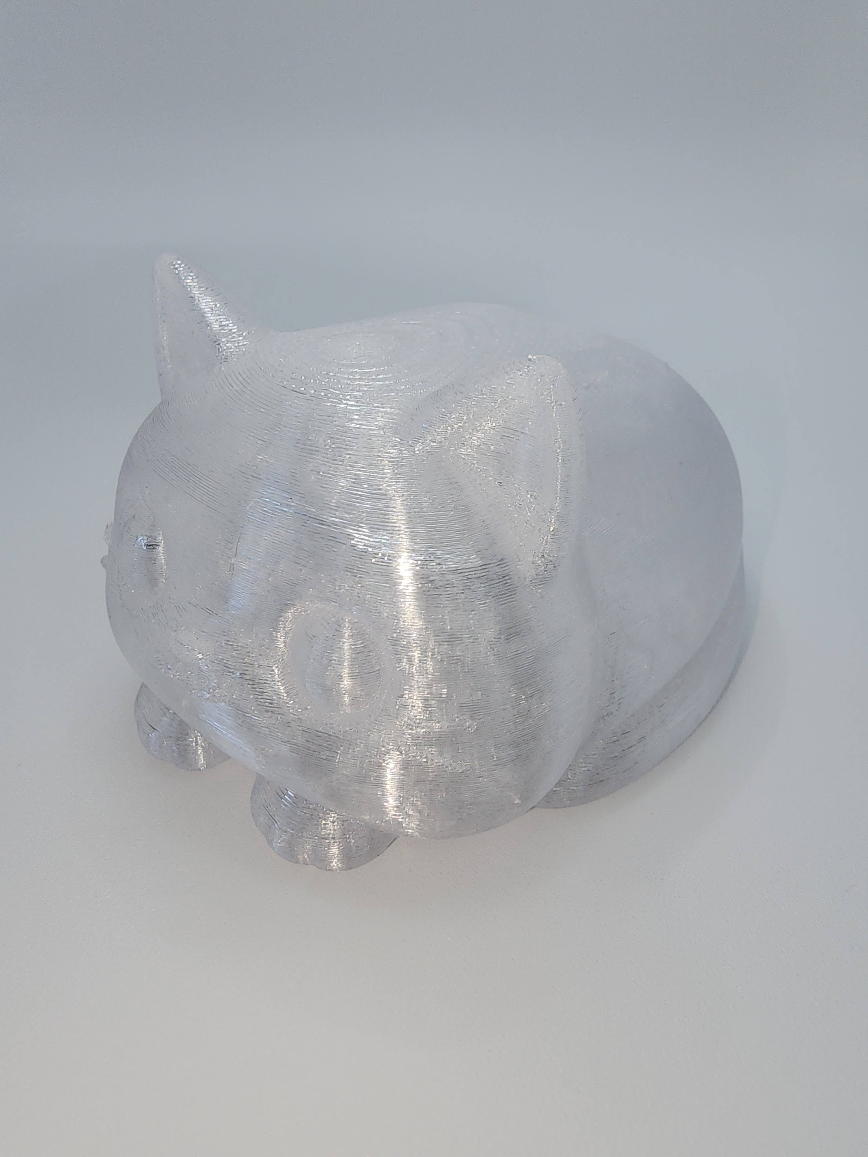 Pet Lights