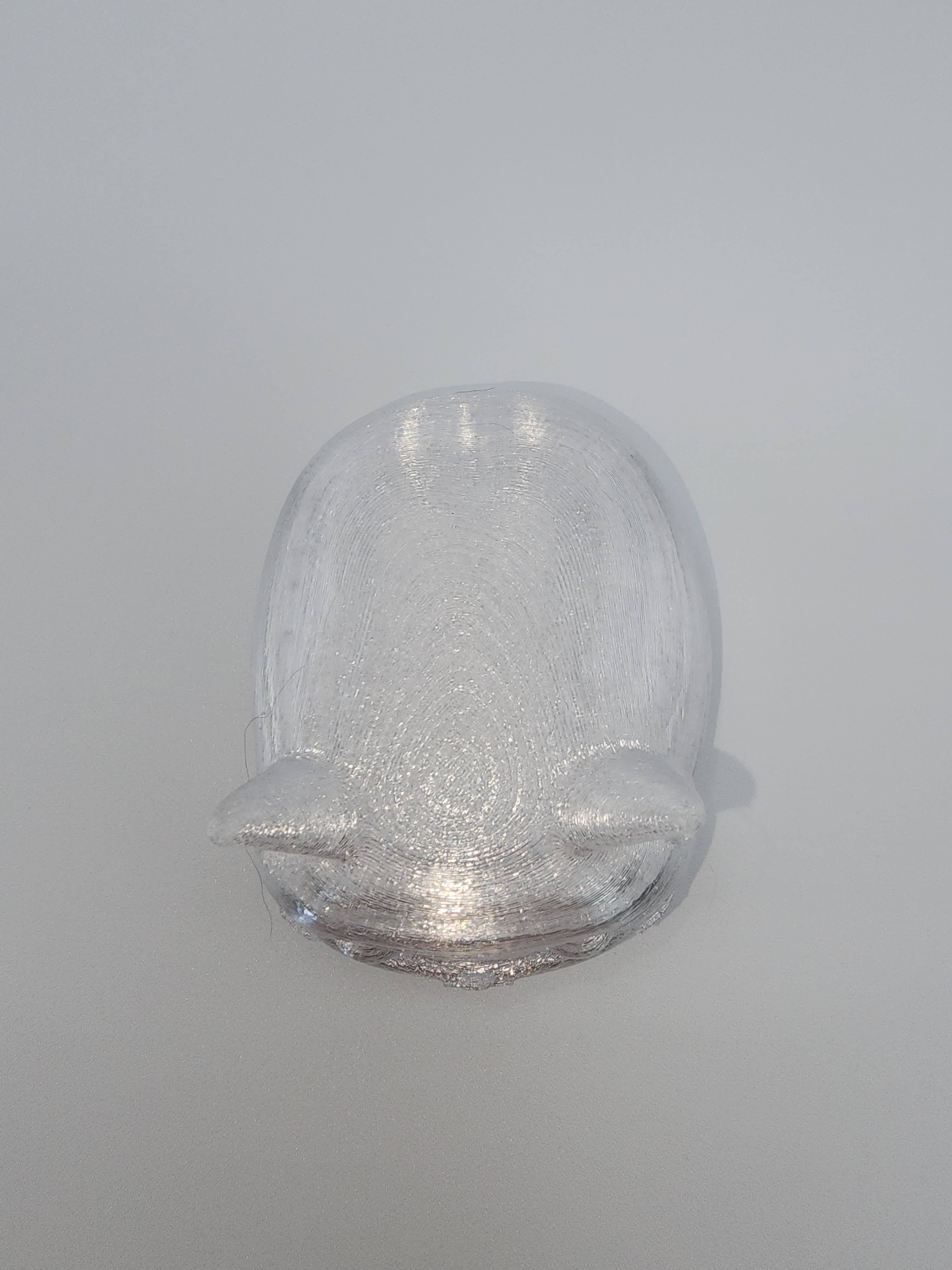Pet Lights