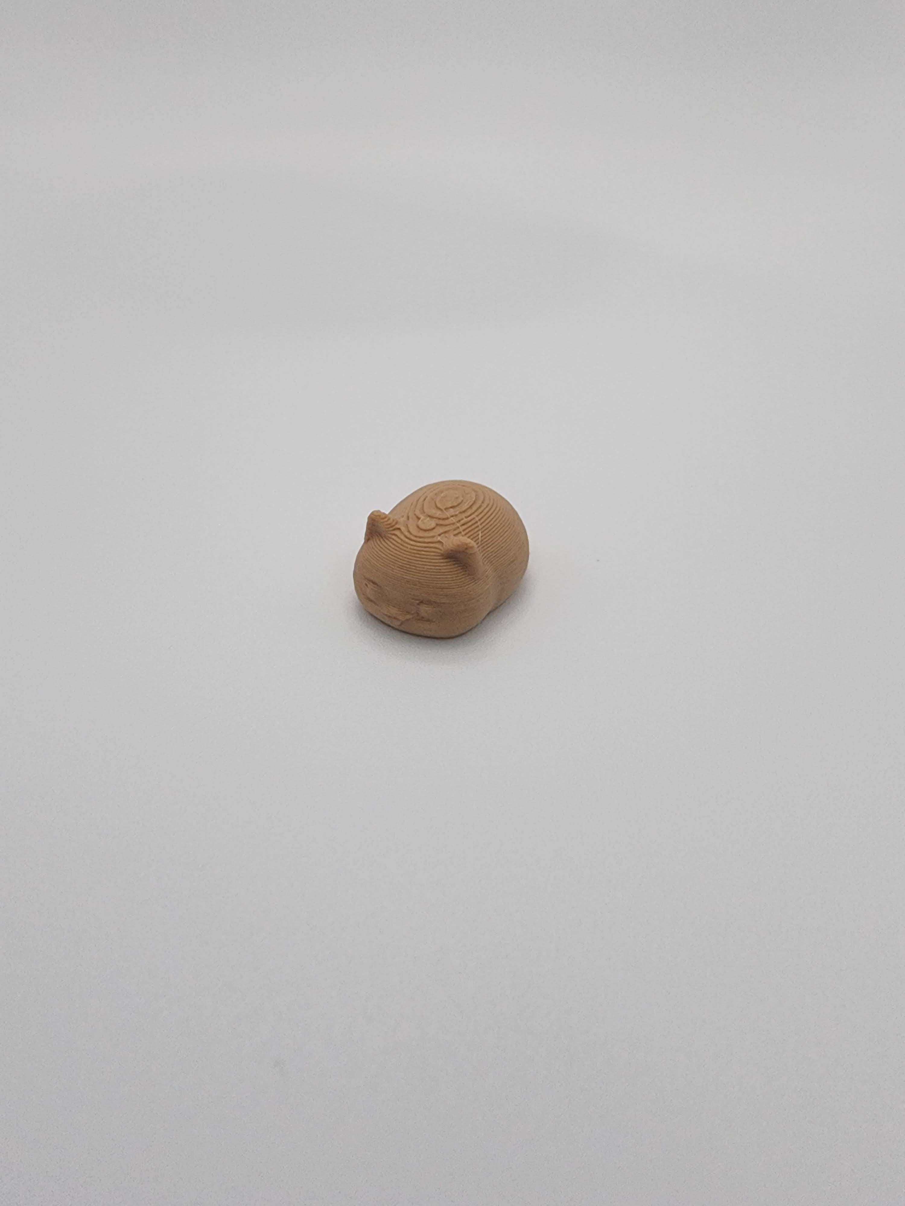 Mini — Cat Loaf