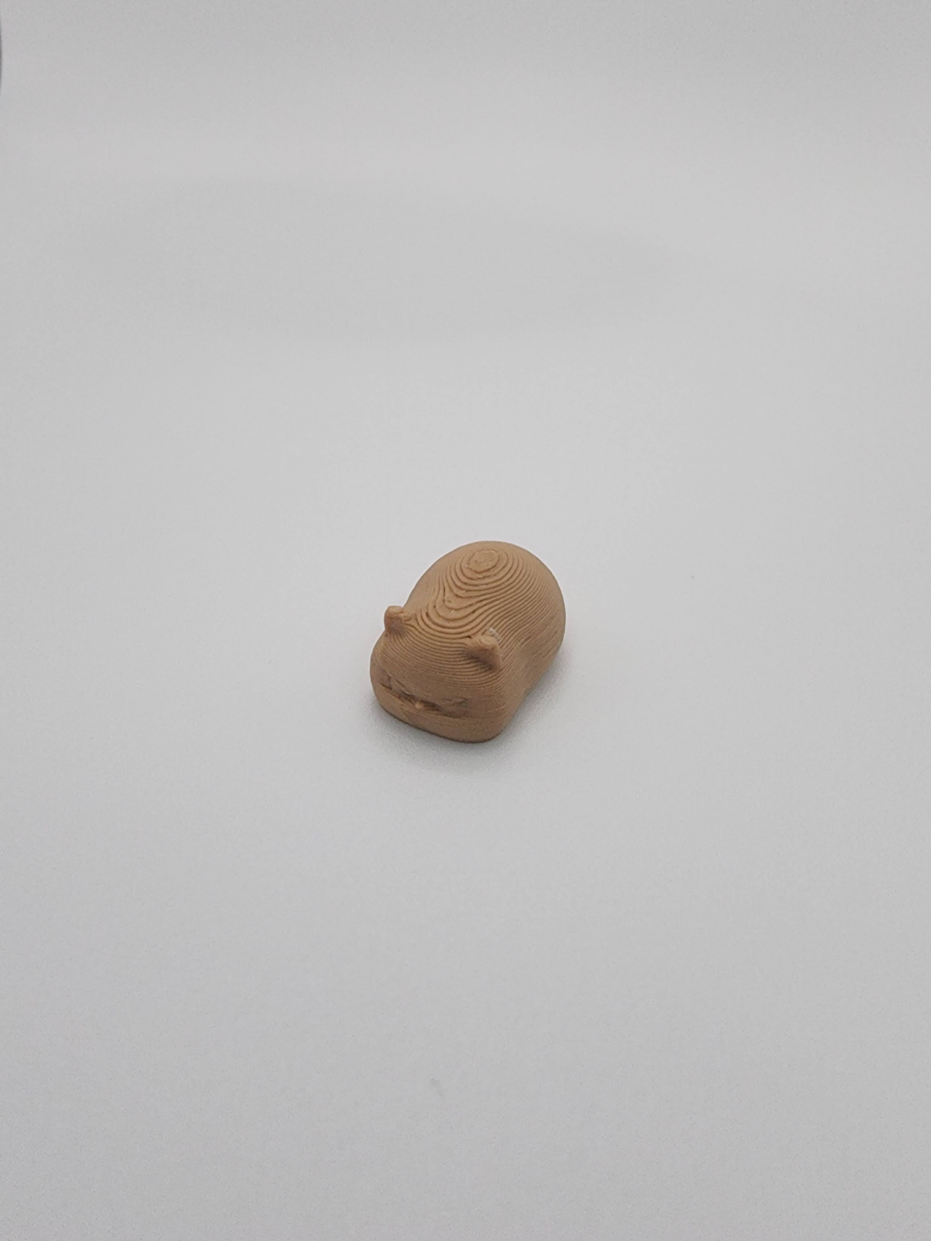 Mini — Cat Loaf