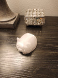 Pet Lights