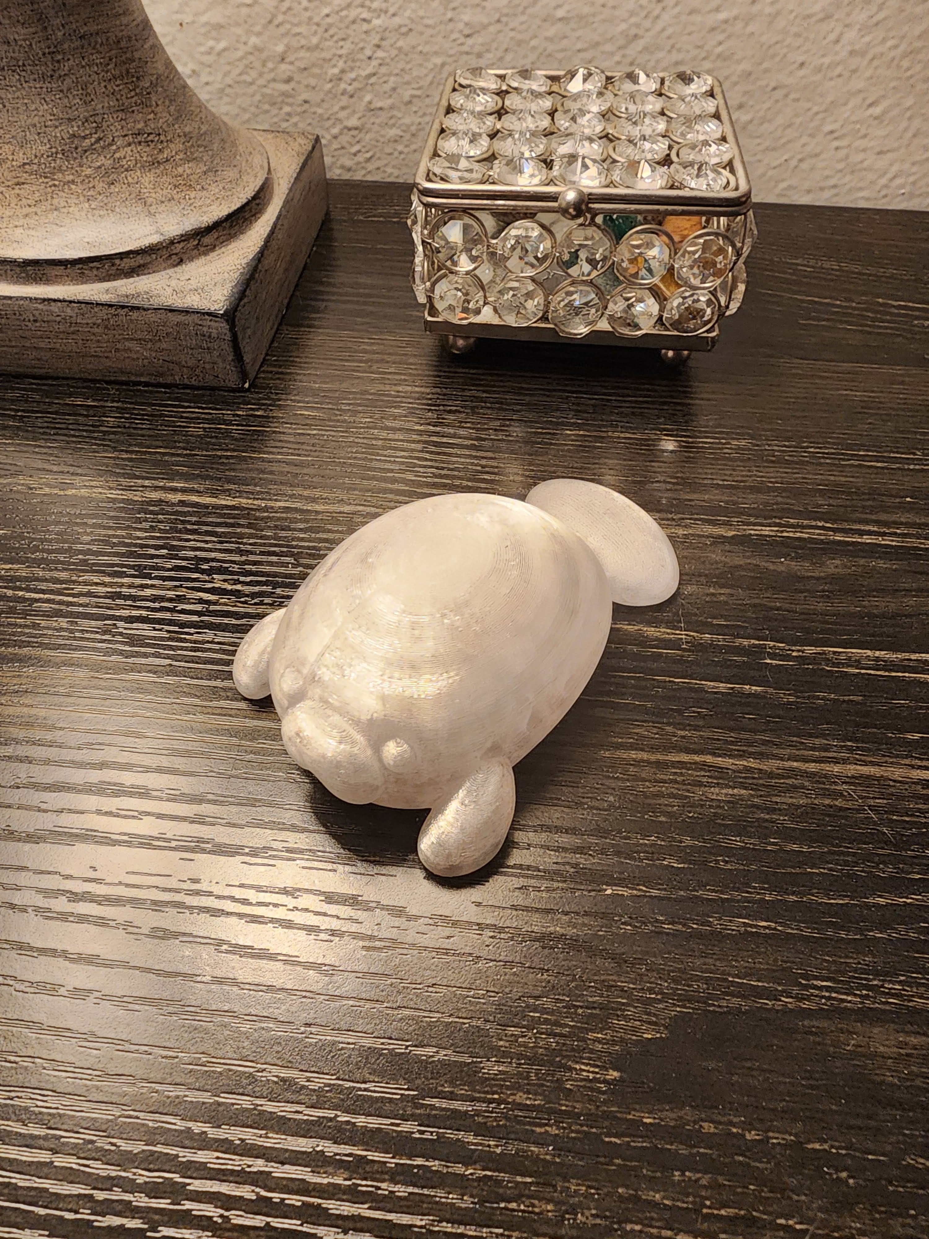 Pet Lights