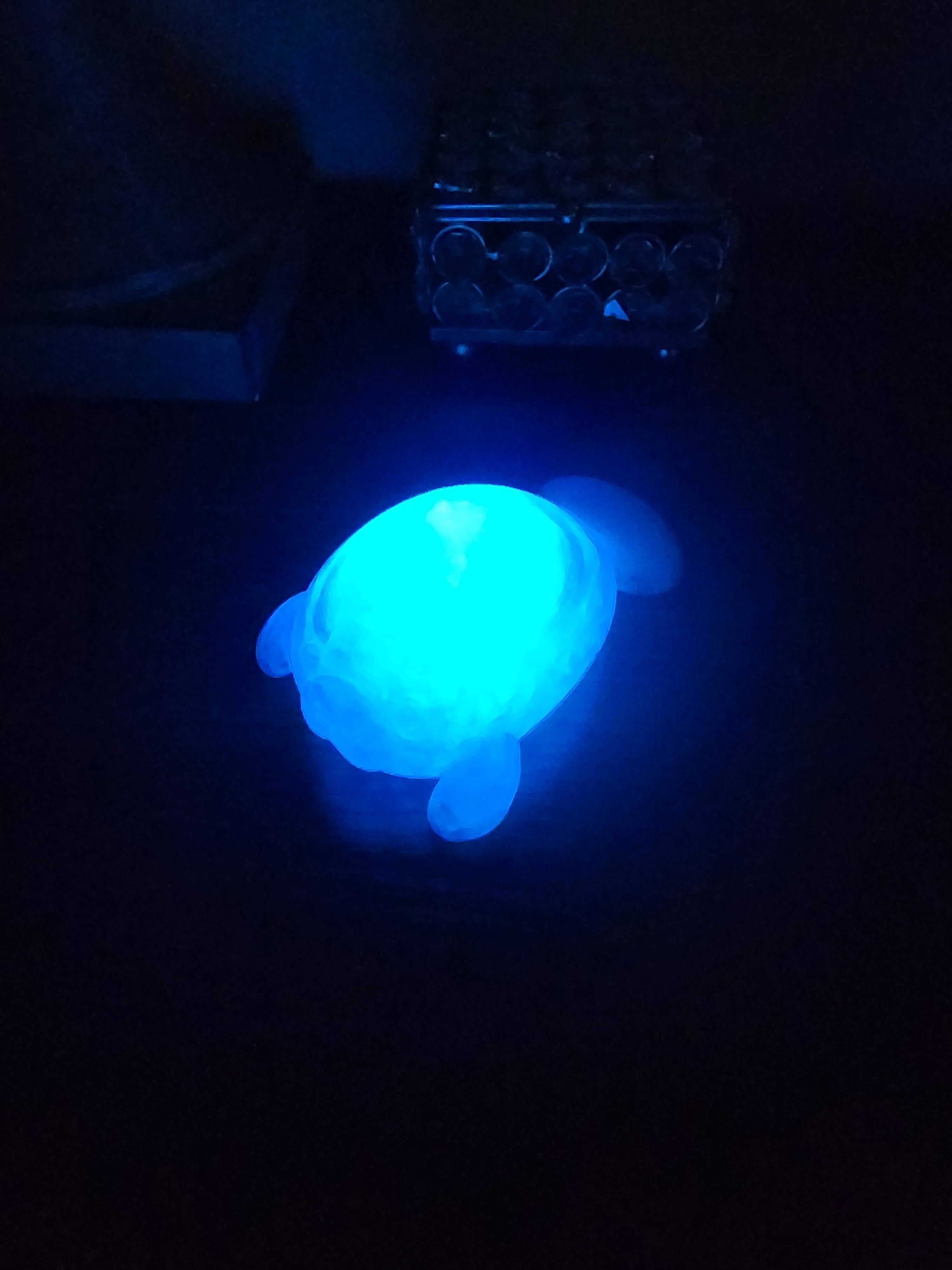 Pet Lights
