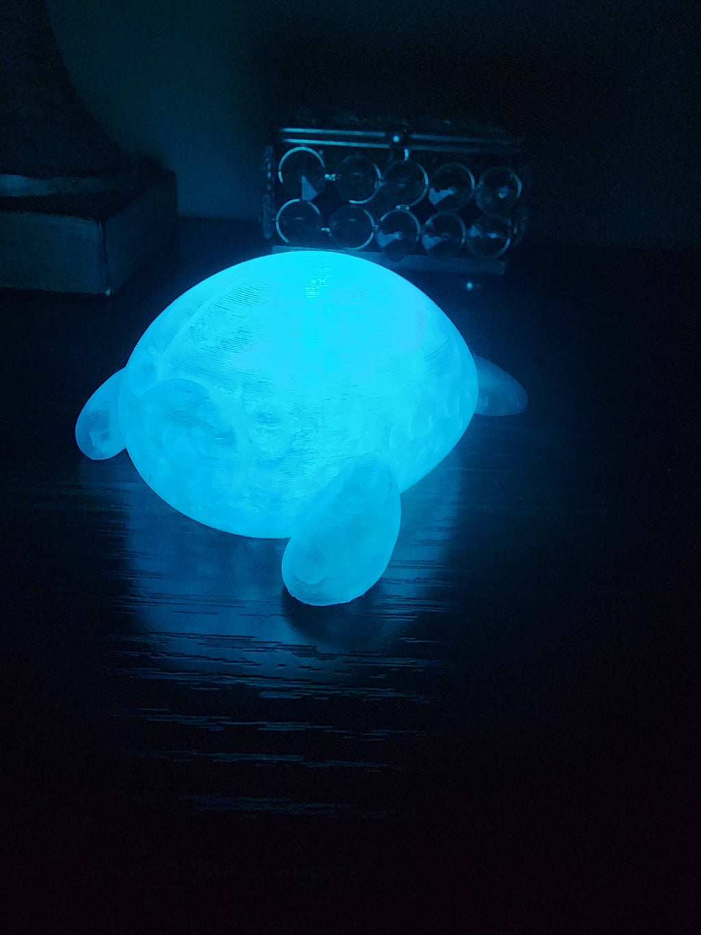 Pet Lights