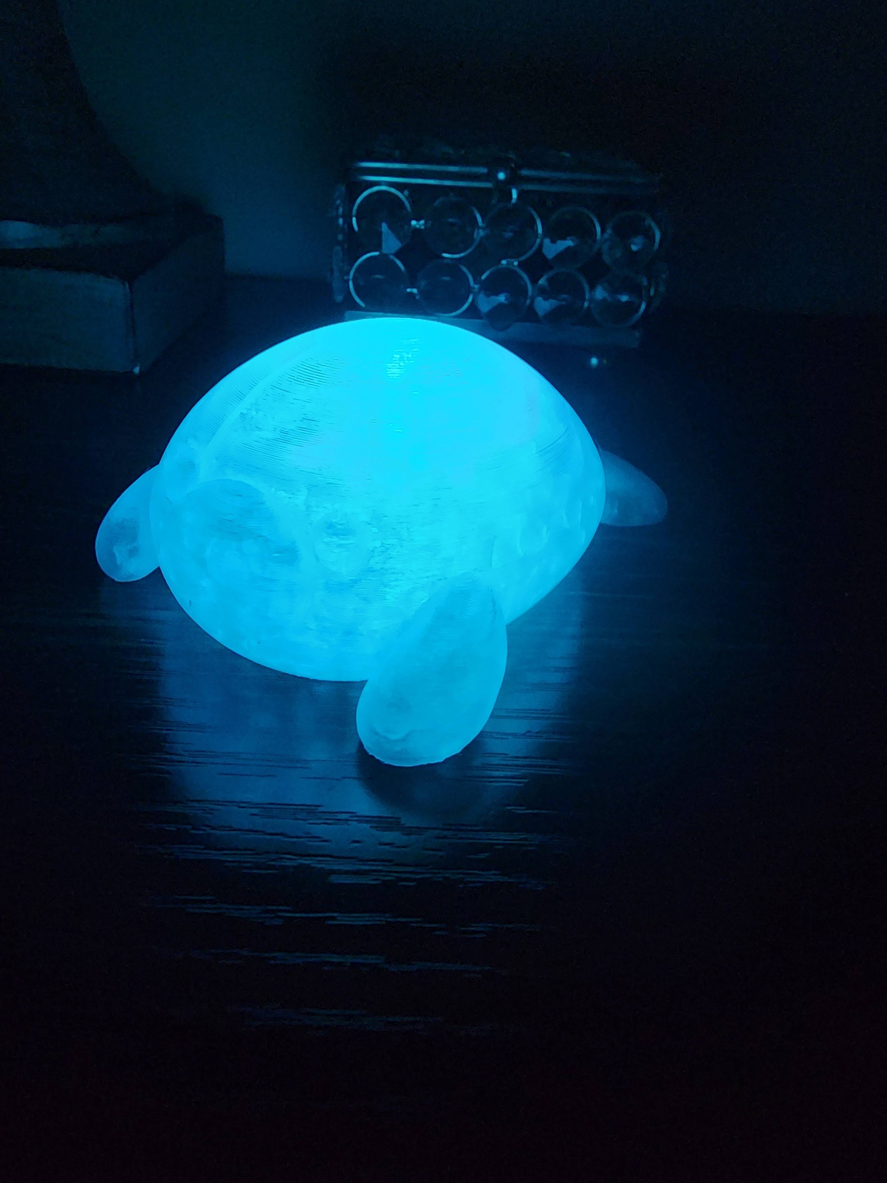 Pet Lights