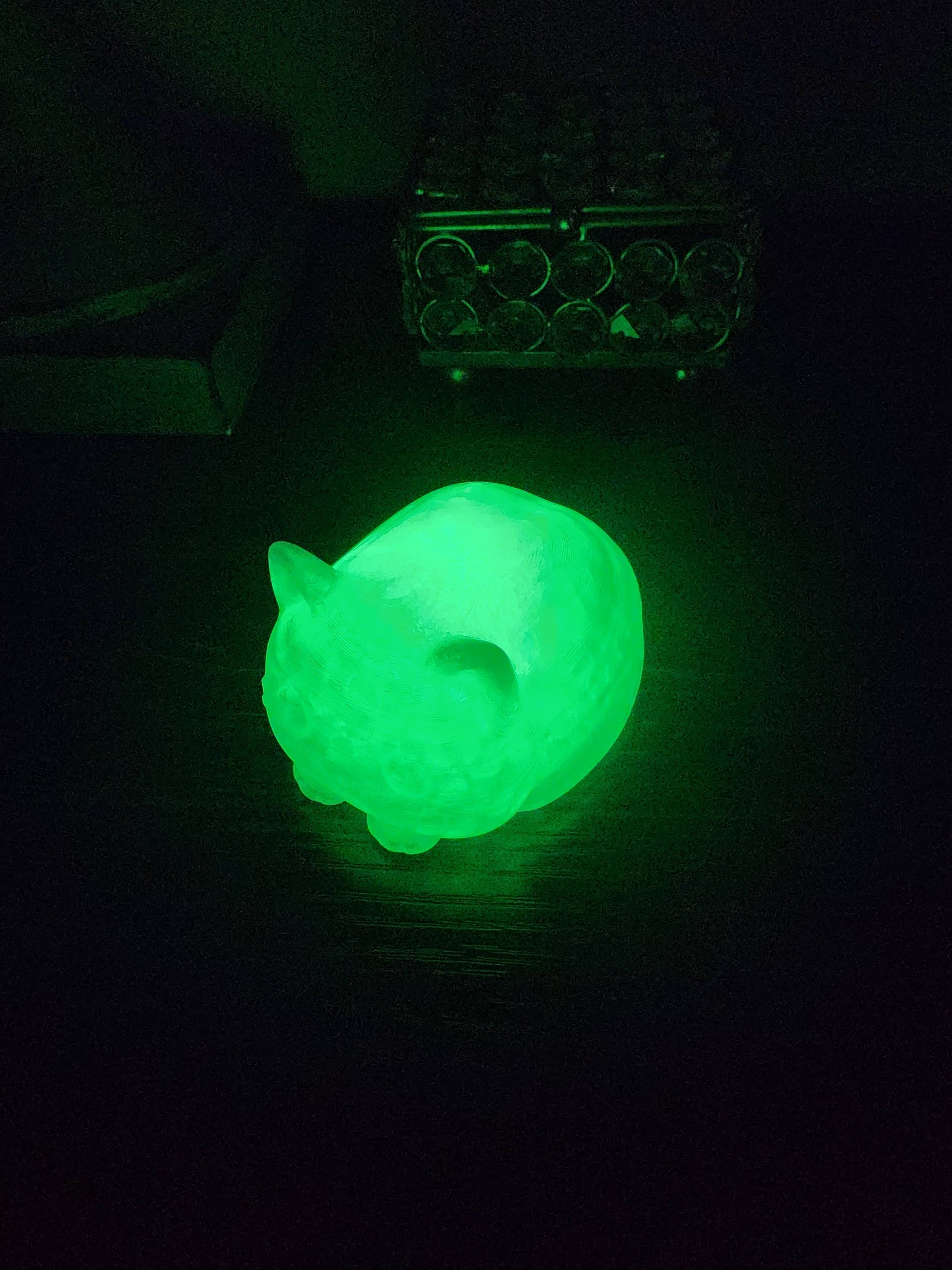 Pet Lights