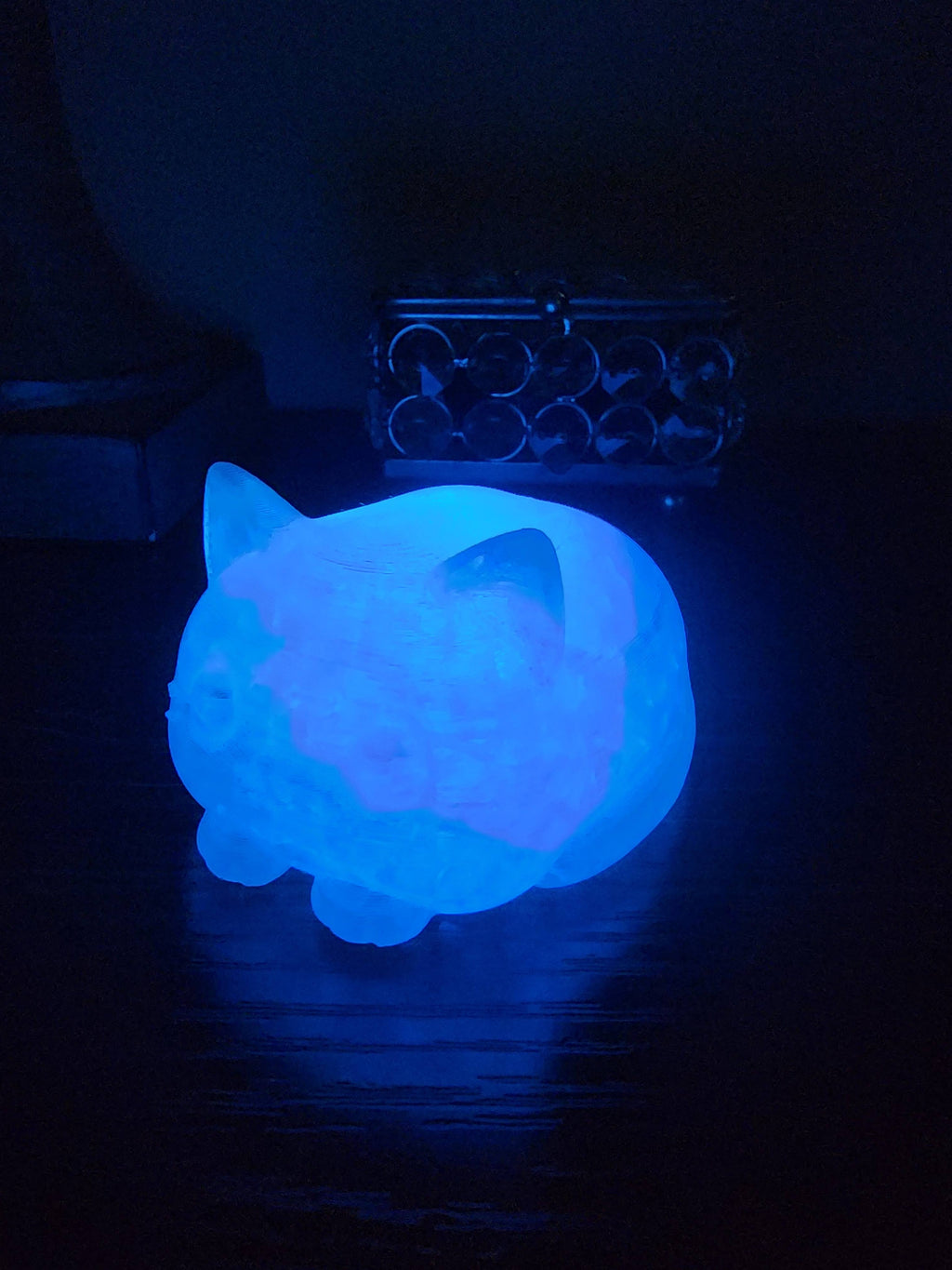 Pet Lights