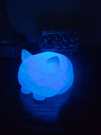 Pet Lights