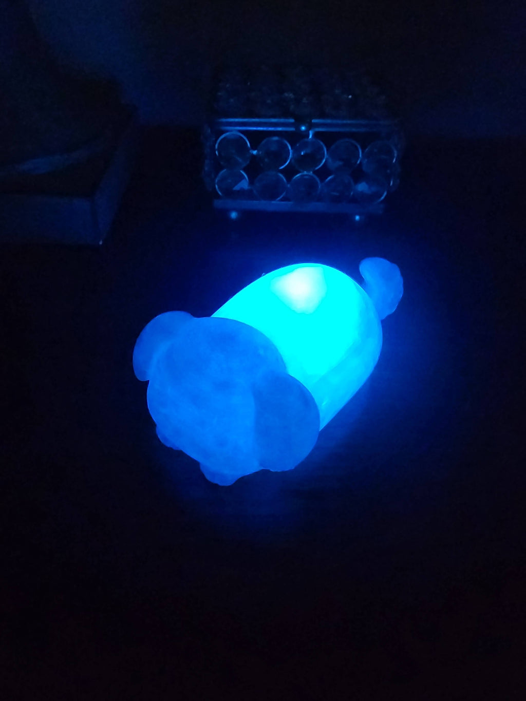 Pet Lights