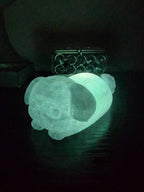 Pet Lights