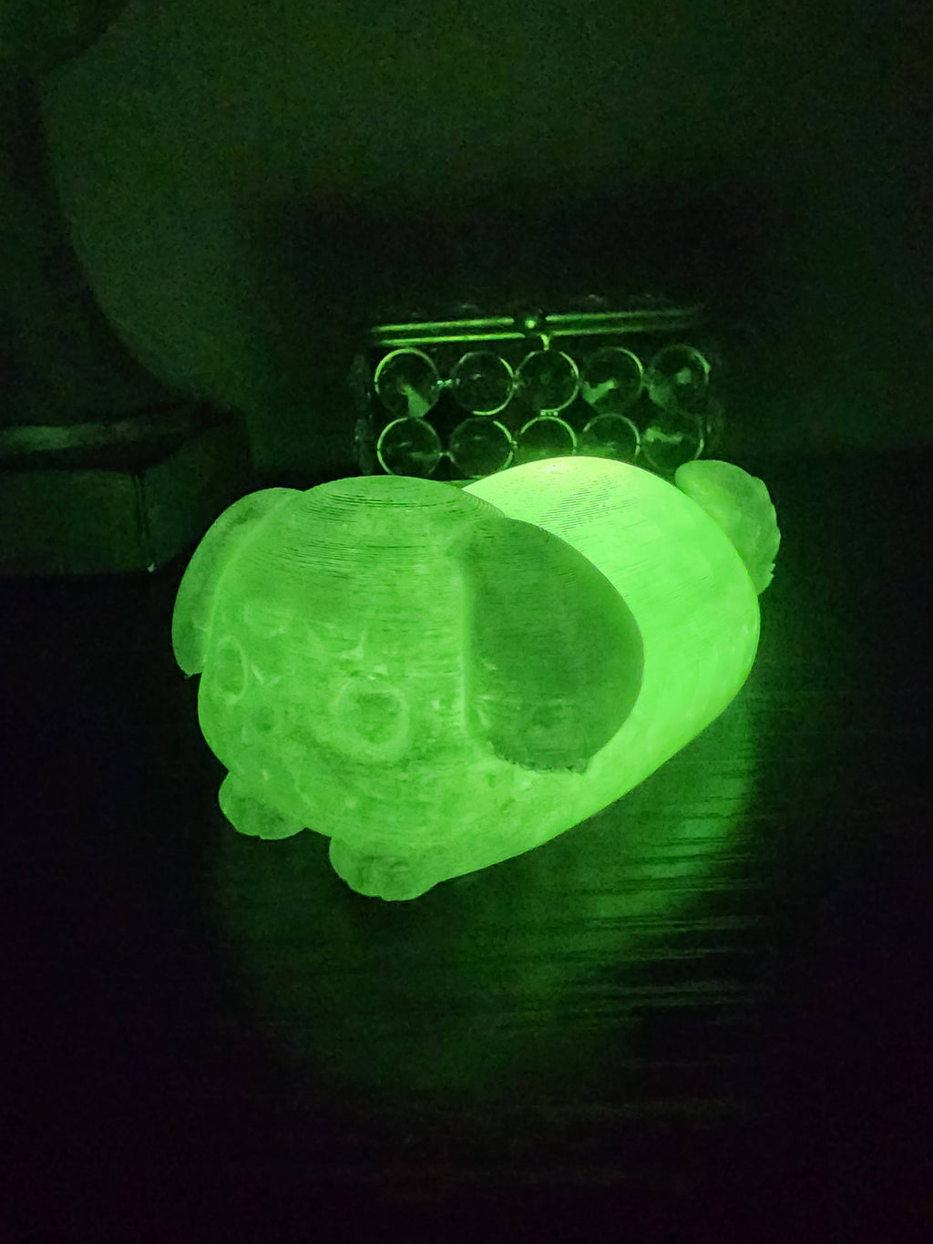 Pet Lights