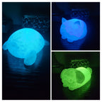 Pet Lights