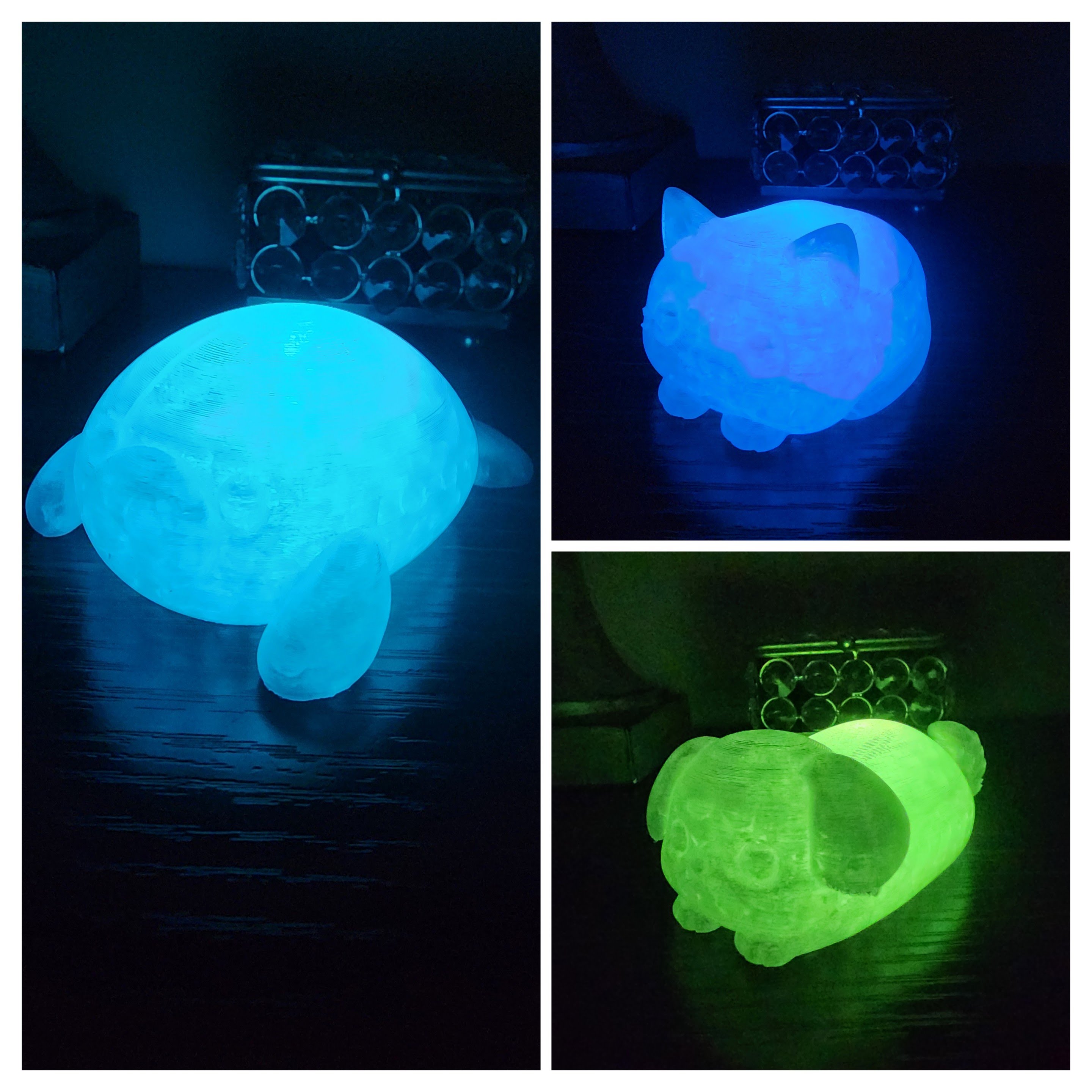 Pet Lights
