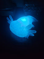 Pet Lights