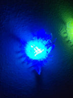 Shell Lights