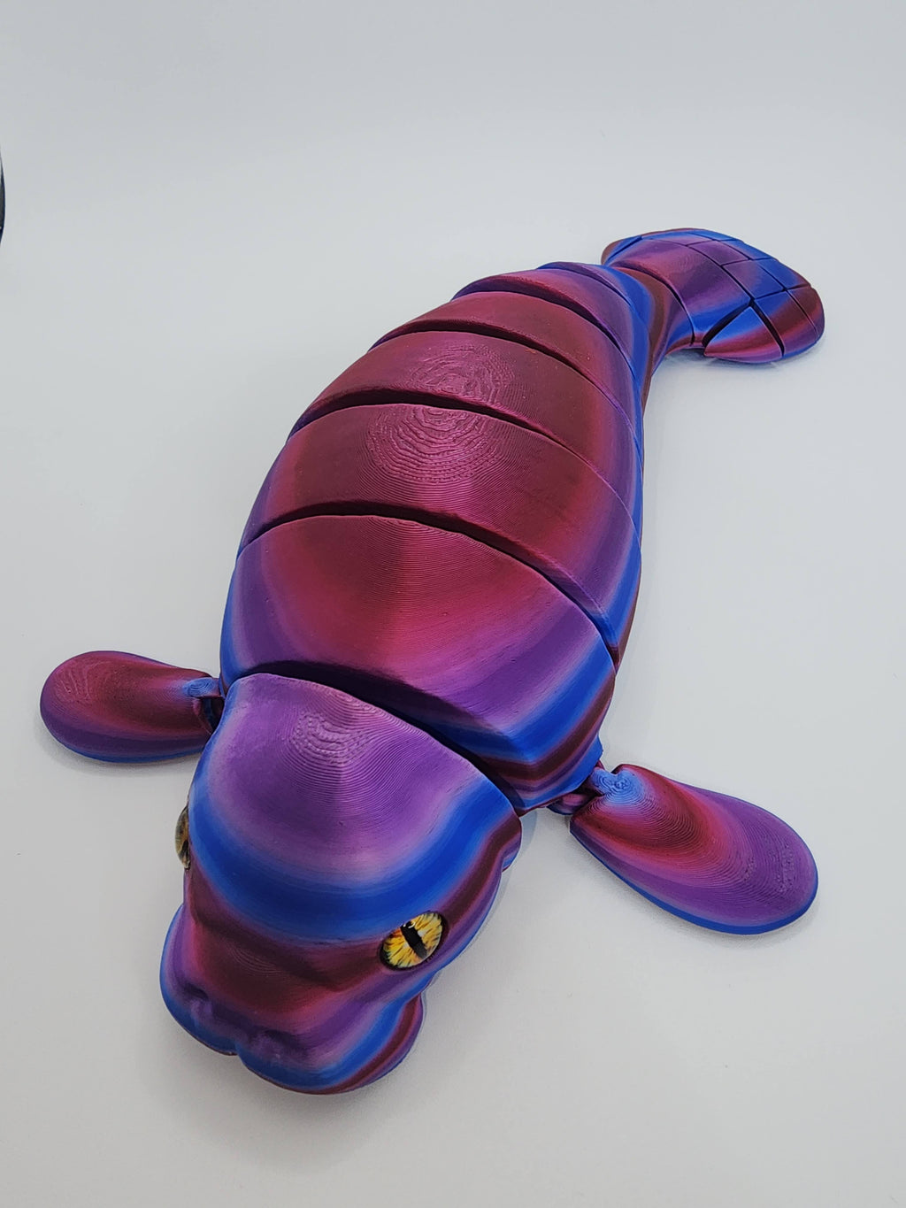 PetLinks Giant — Manatee