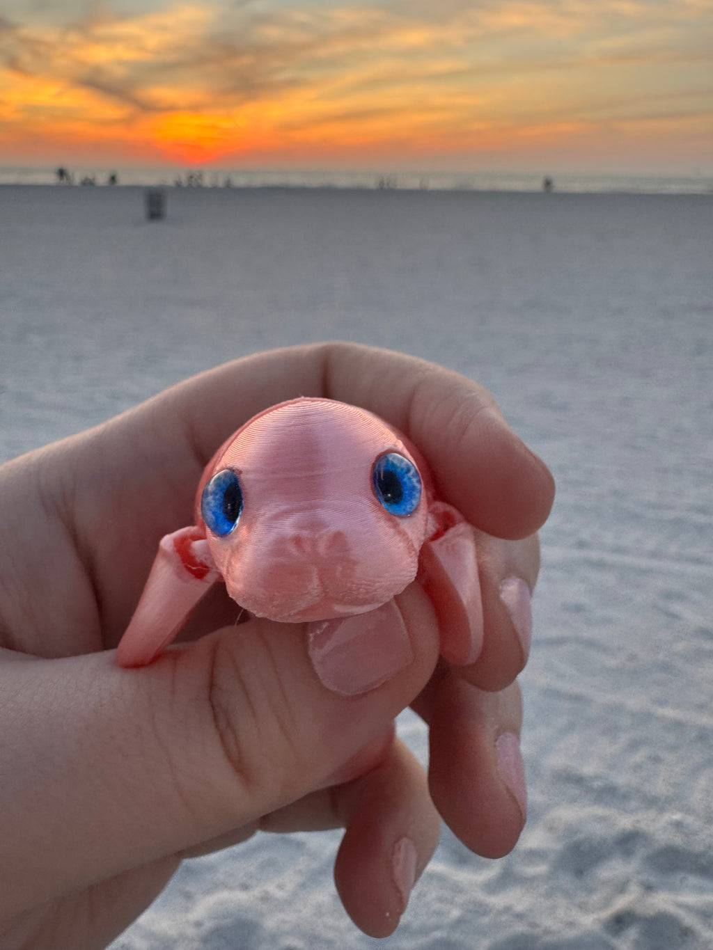 PetLinks Baby — Manatee