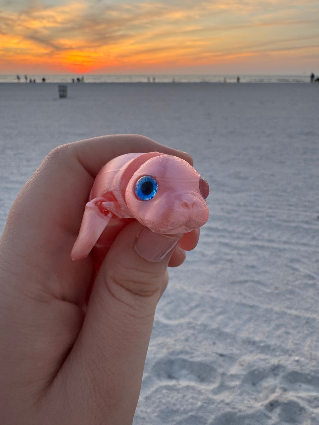 PetLinks Baby — Manatee