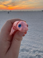 PetLinks Baby — Manatee