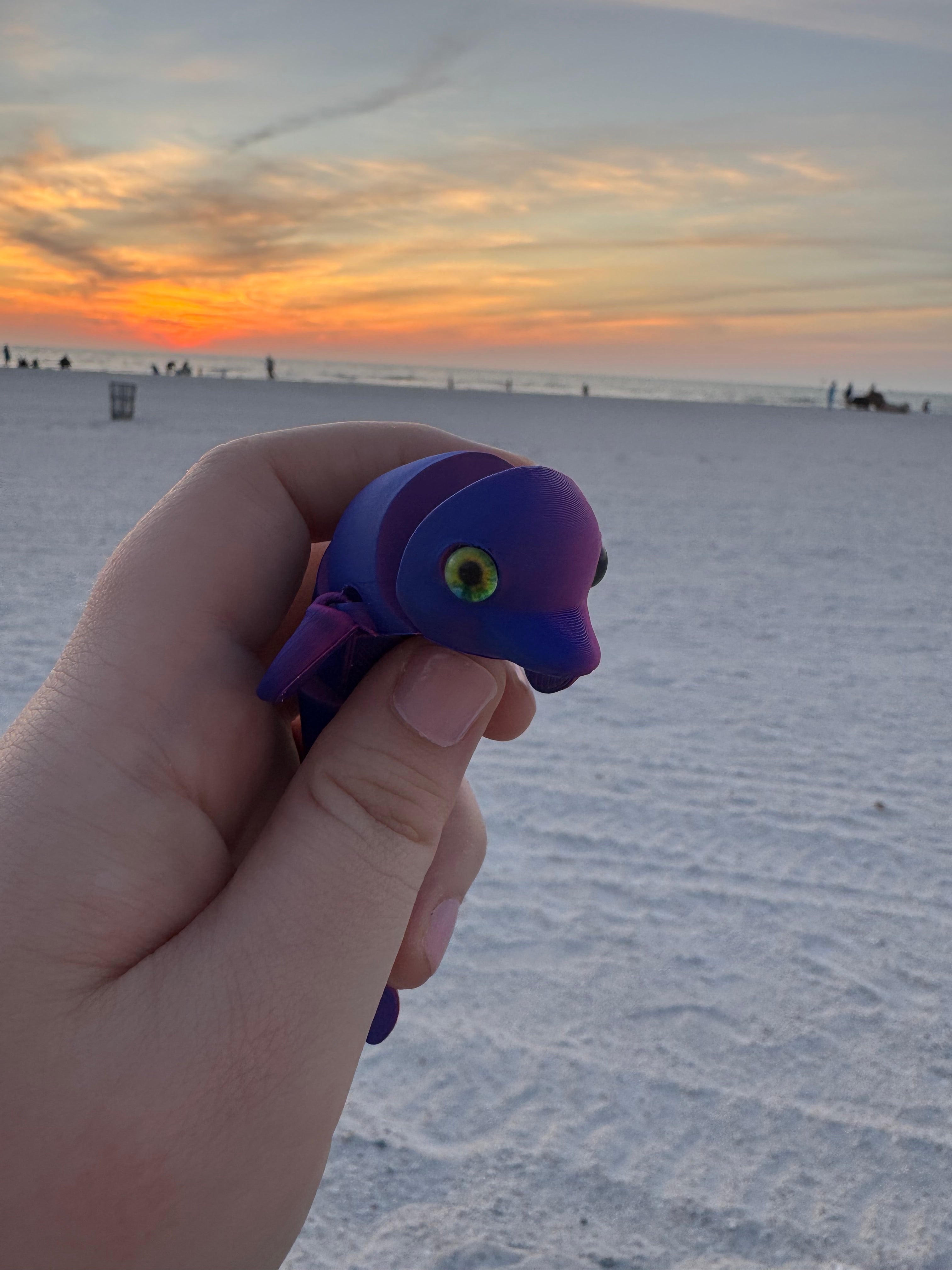 PetLinks Baby — Dolphin