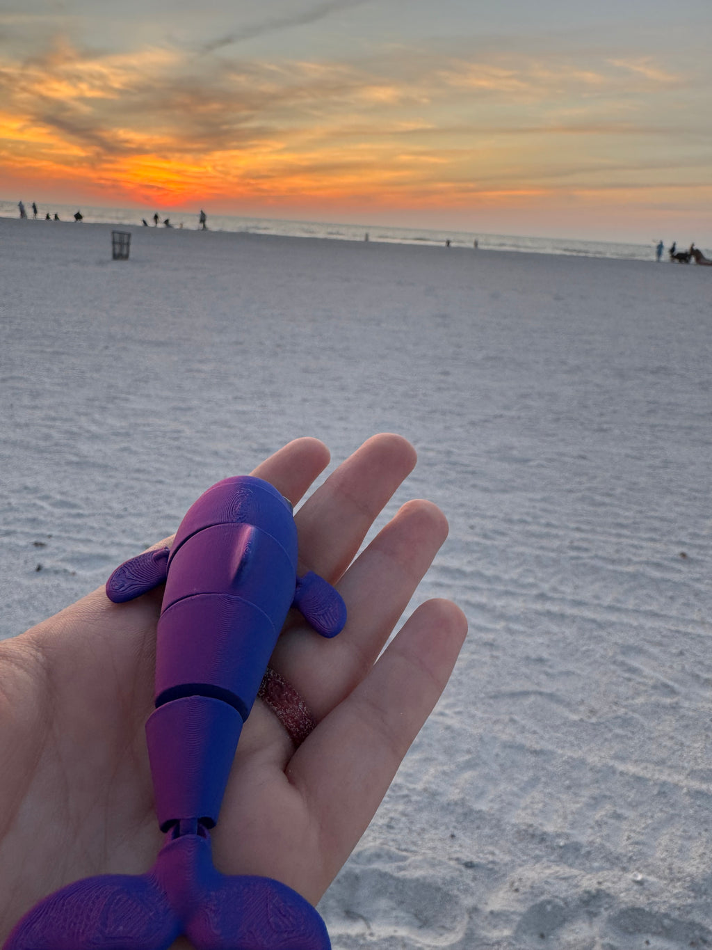 PetLinks Baby — Dolphin