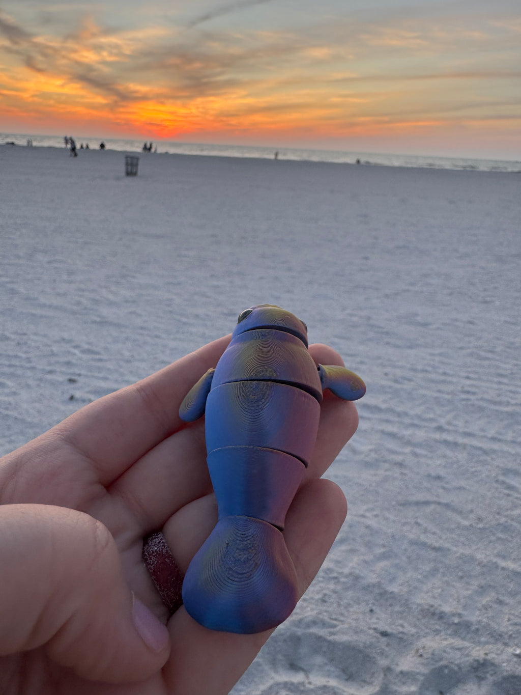 PetLinks Baby — Manatee
