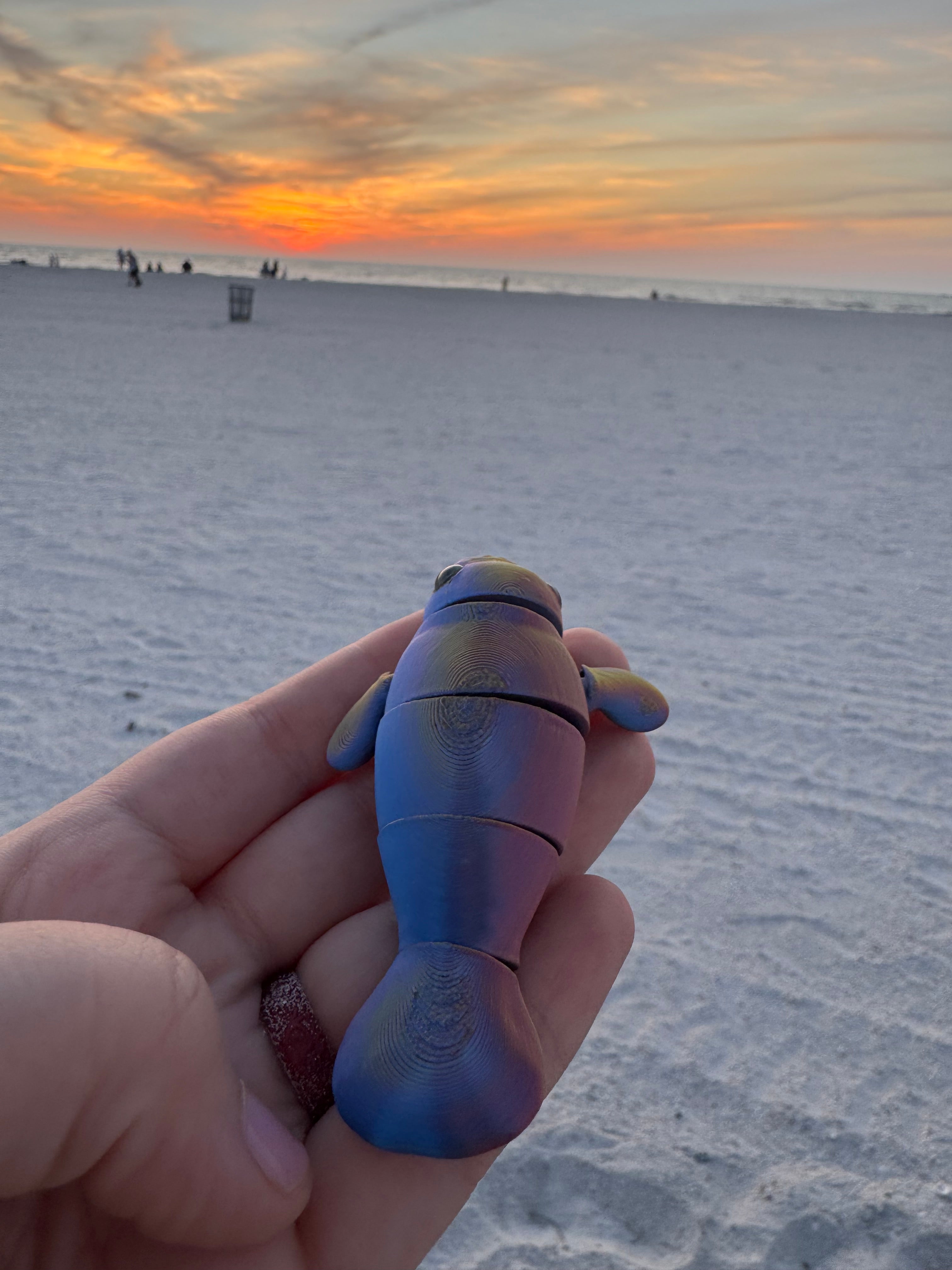 PetLinks Baby — Manatee