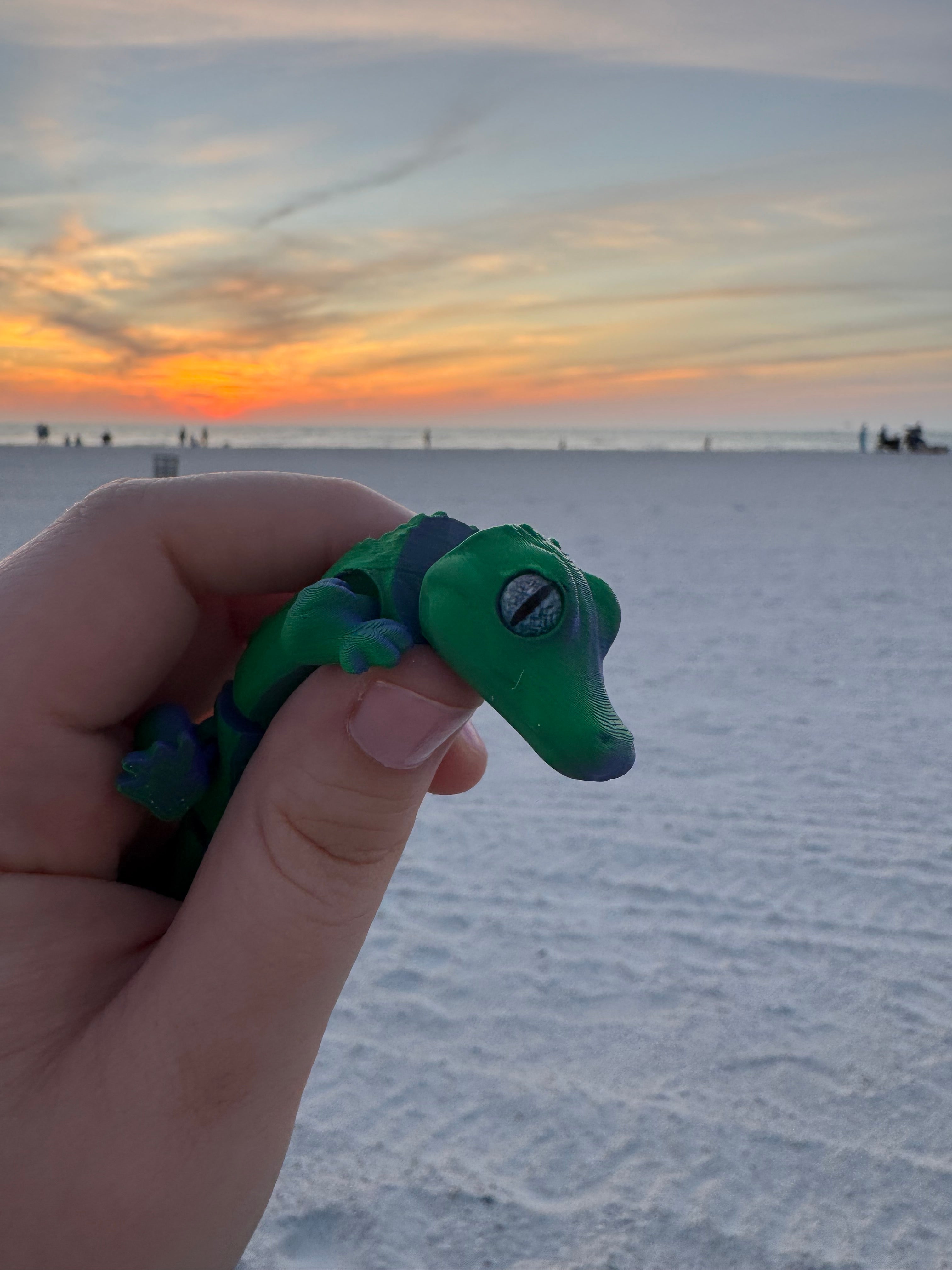 PetLinks Baby — Alligator