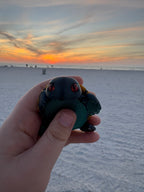 PetLinks Baby — Turtle