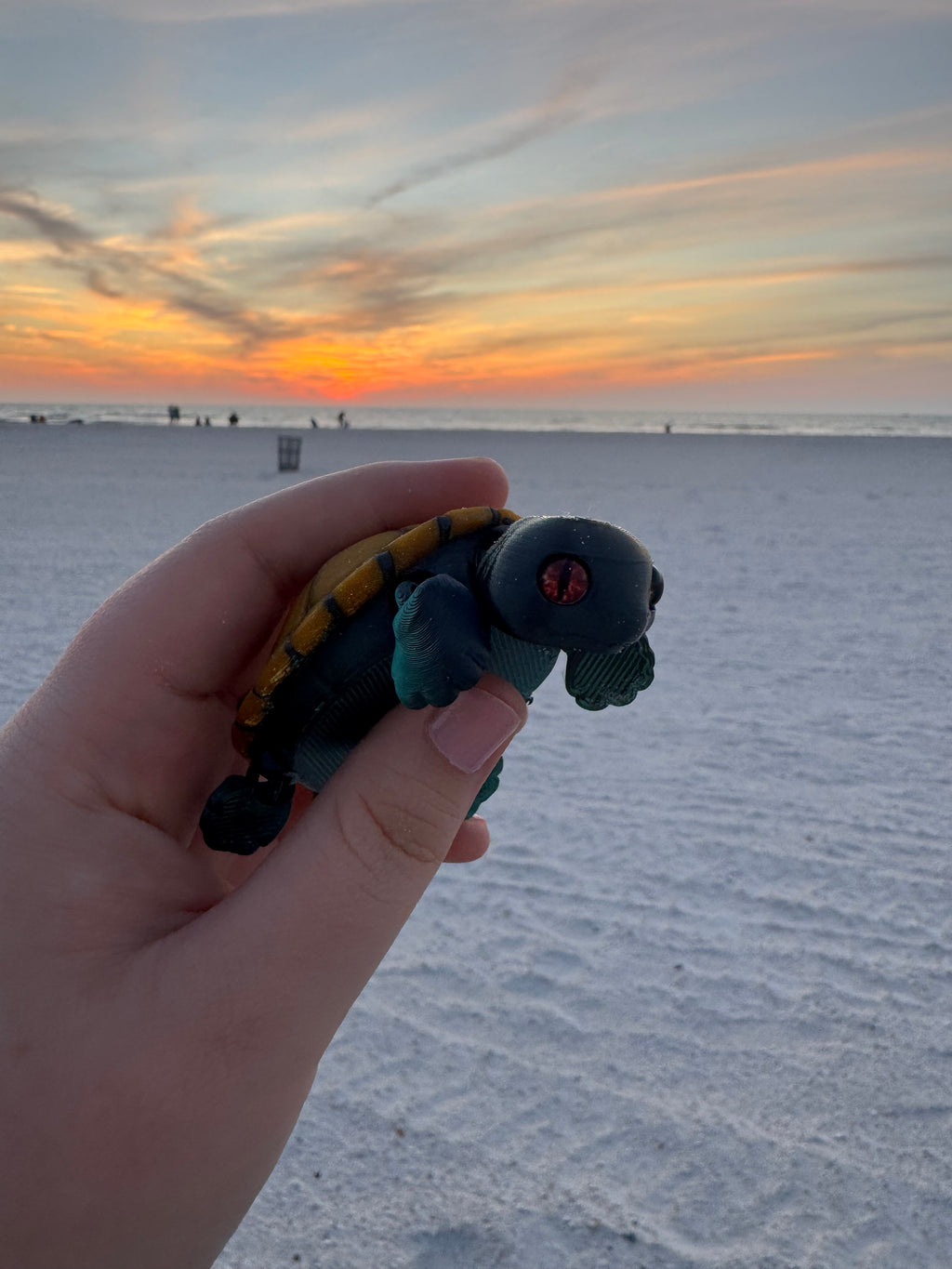 PetLinks Baby — Turtle