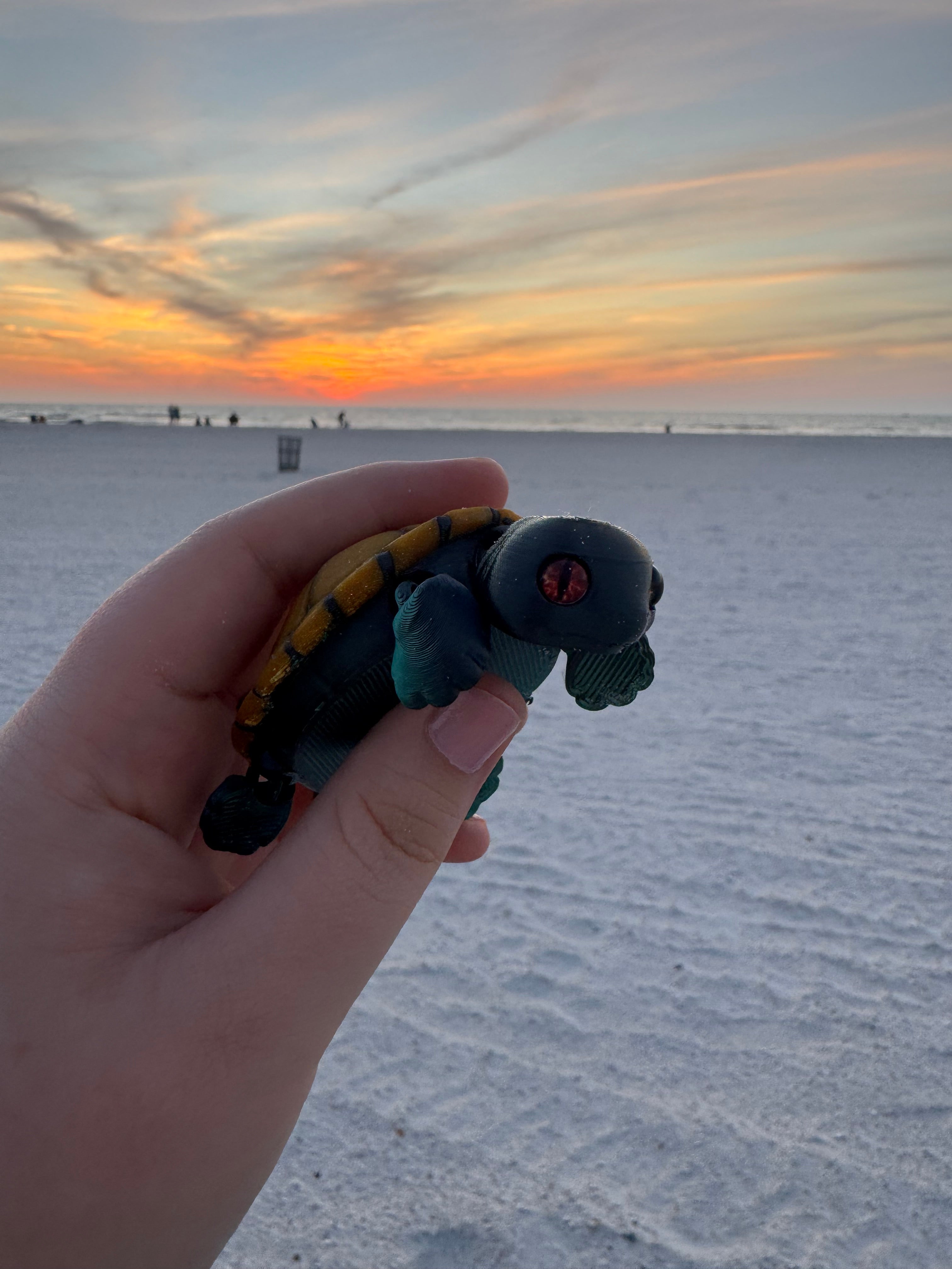 PetLinks Baby — Turtle