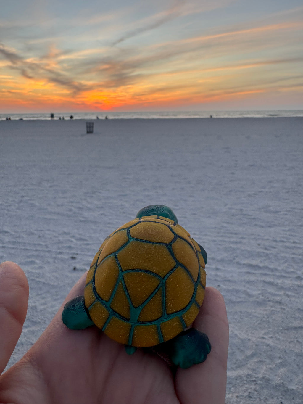 PetLinks Baby — Turtle