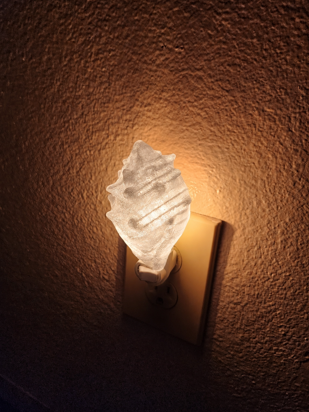 Shell Night Lights