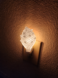 Shell Night Lights