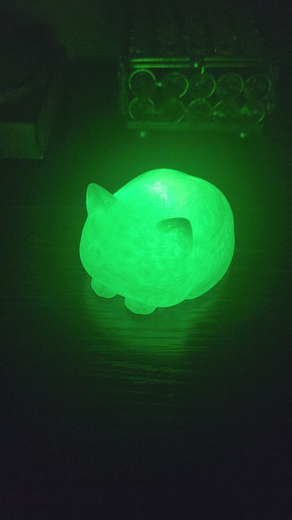 Pet Lights