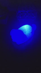 Pet Lights