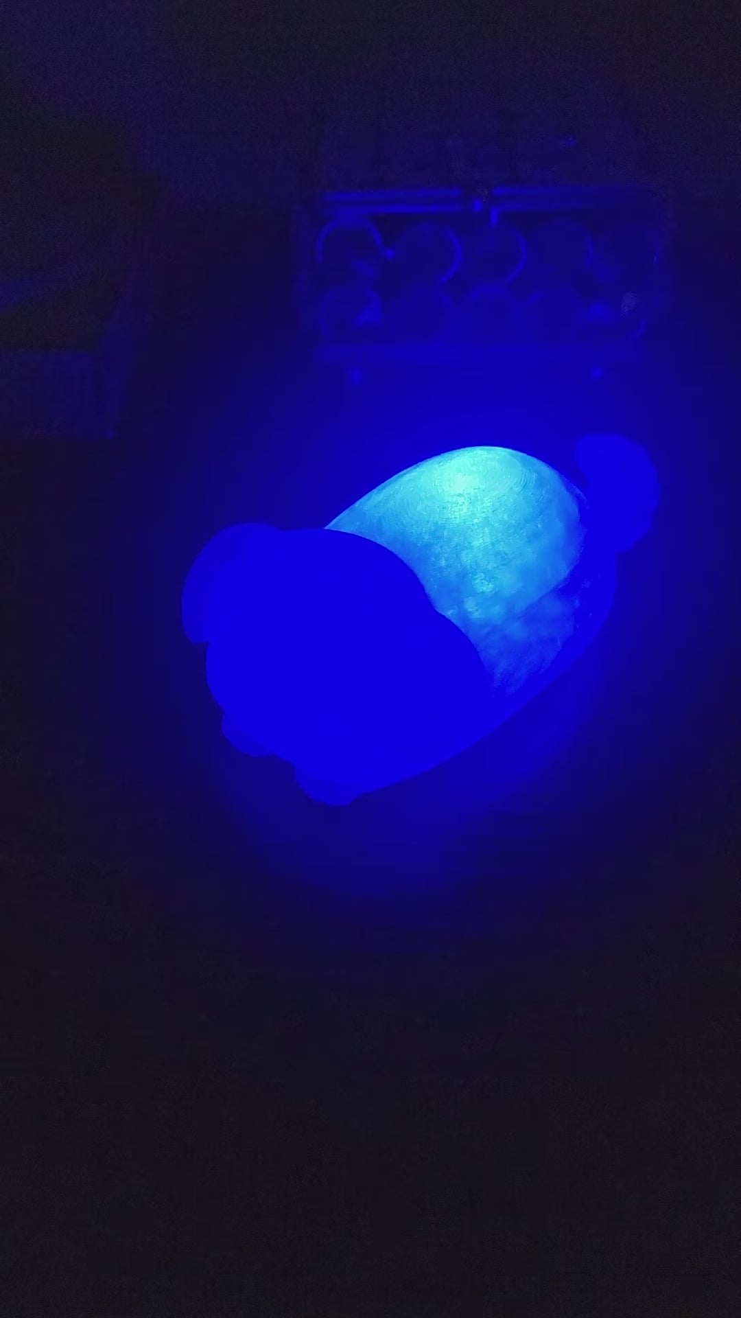 Pet Lights