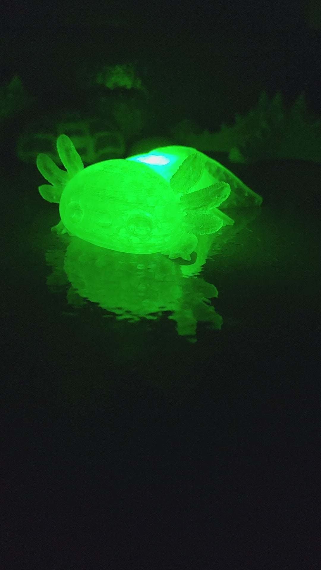 Pet Lights