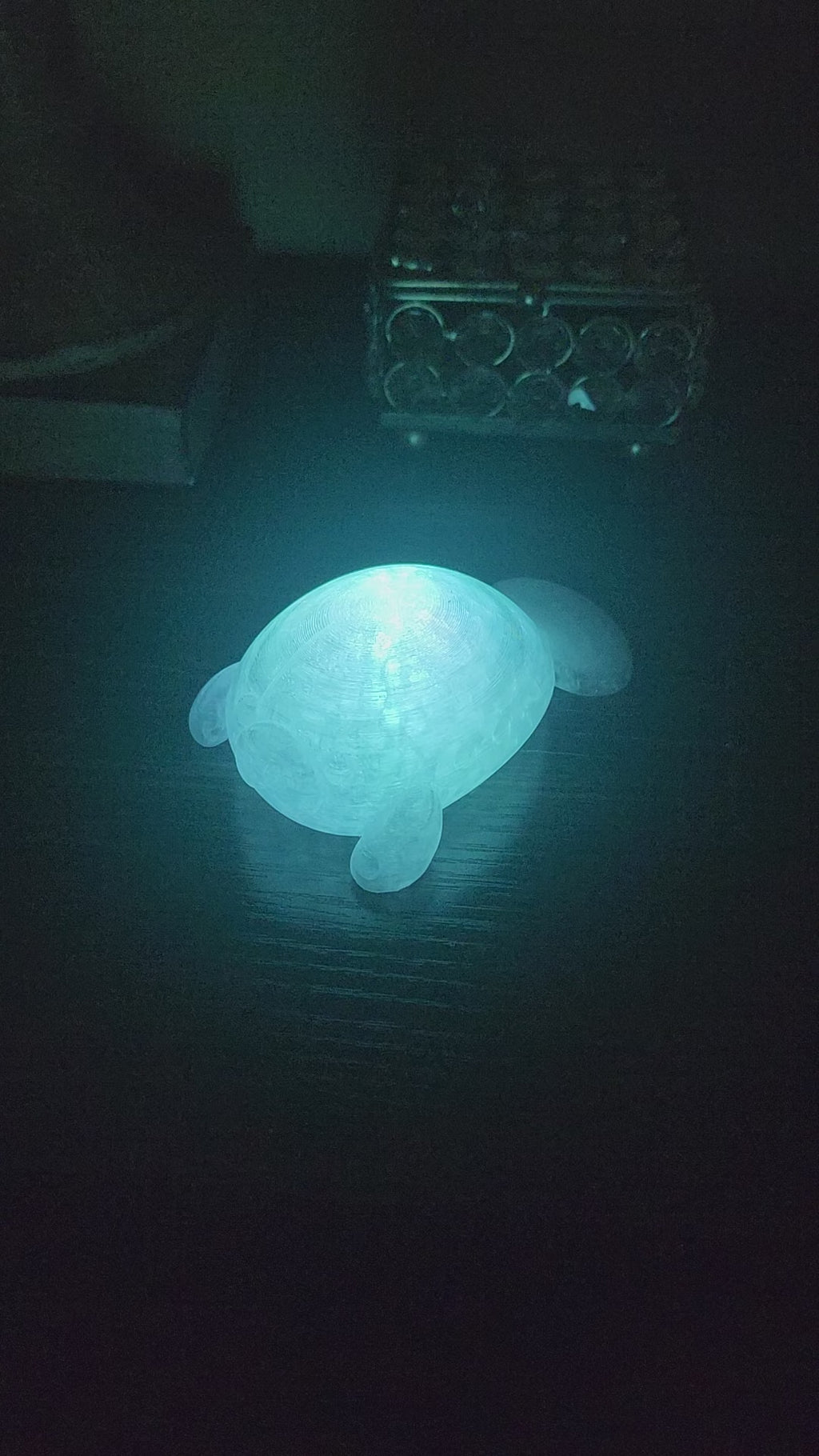 Pet Lights