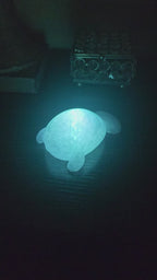 Pet Lights