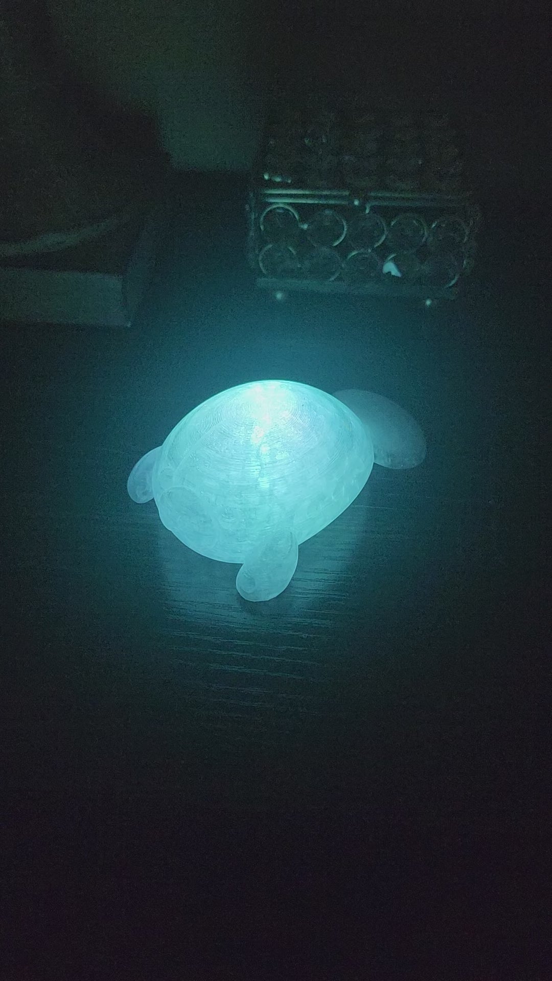 Pet Lights