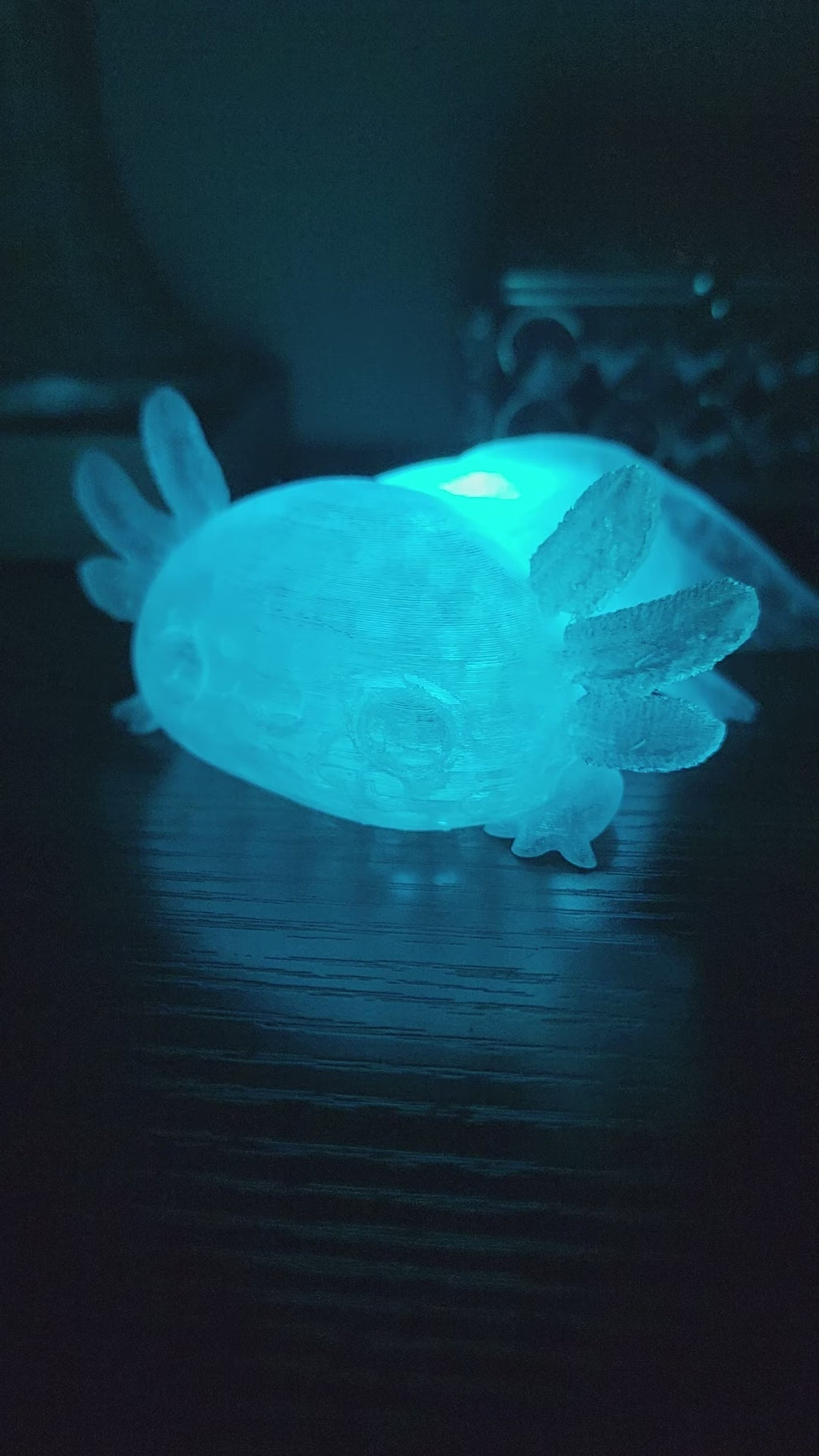 Pet Lights