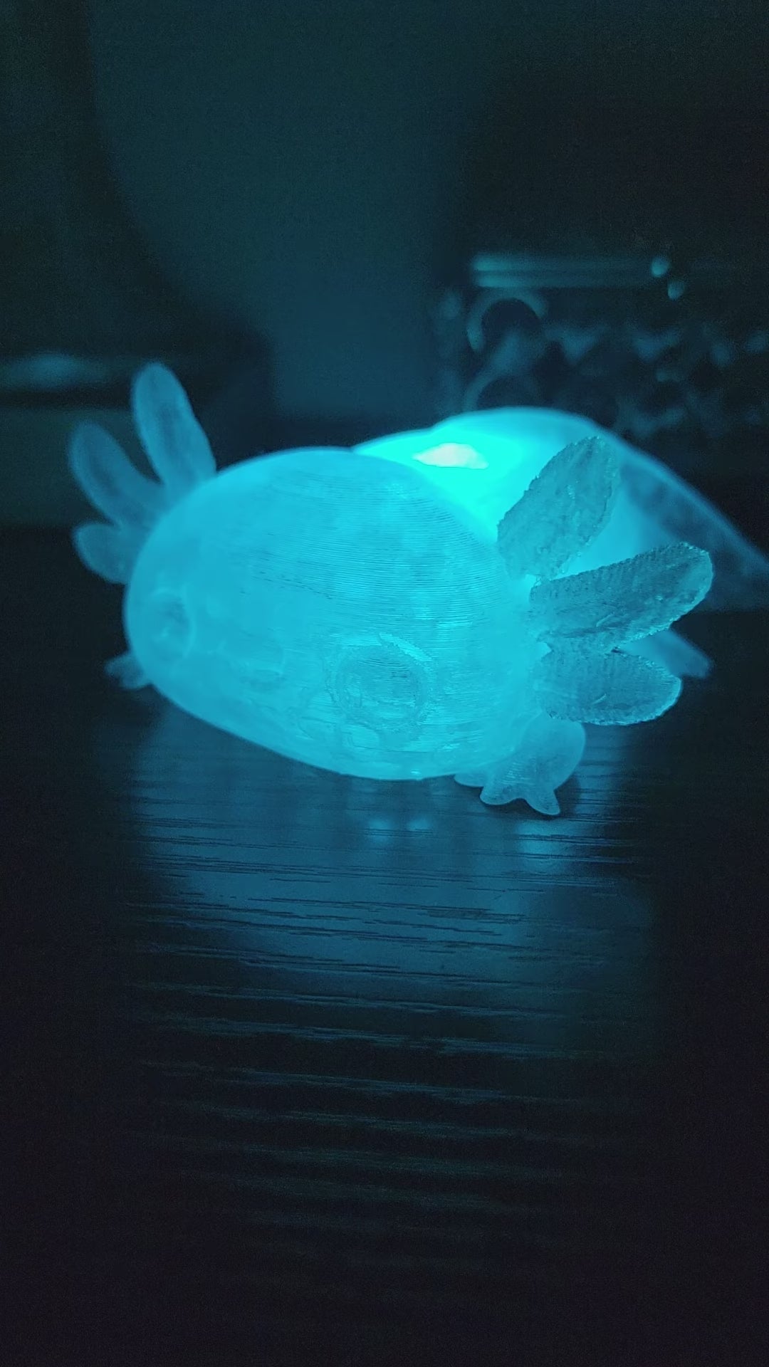 Pet Lights